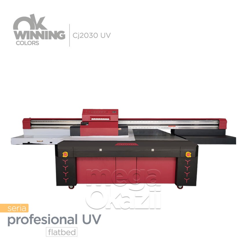 Printer UV plan Cj2030