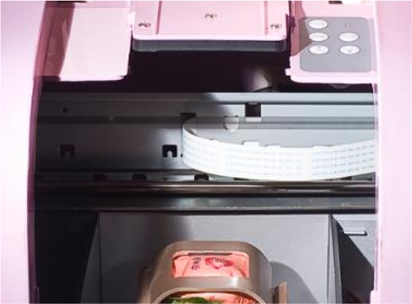 cutter plotter cap dublu taiere pe contur cu camera
